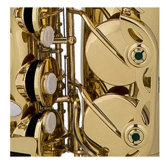 Chateau Saxophones Chateau Alto Saxophone CAS-21 CVL
