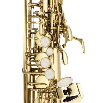 Chateau Saxophones Chateau CAS-21L Cheverny Series Alto Saxophone