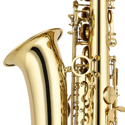 Chateau Saxophones Chateau CAS-21L Cheverny Series Alto Saxophone