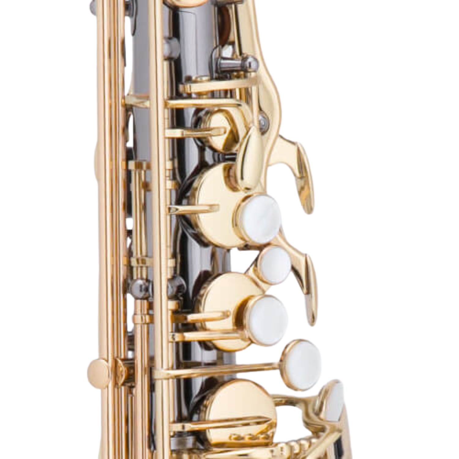 Chateau Saxophones Chateau CAS-50BL Alto Saxophone