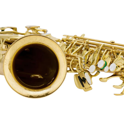 Chateau Saxophones Chateau CAS-80GL Alto Saxophone