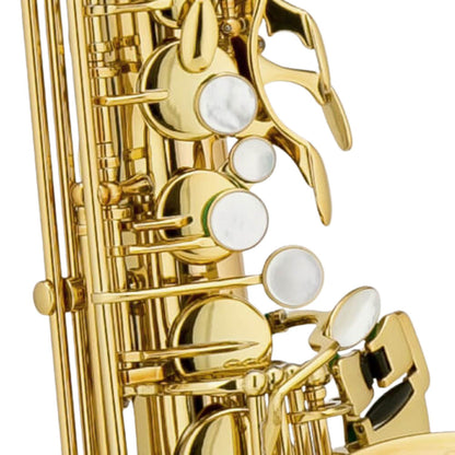 Chateau Saxophones Chateau CAS-80GL Alto Saxophone