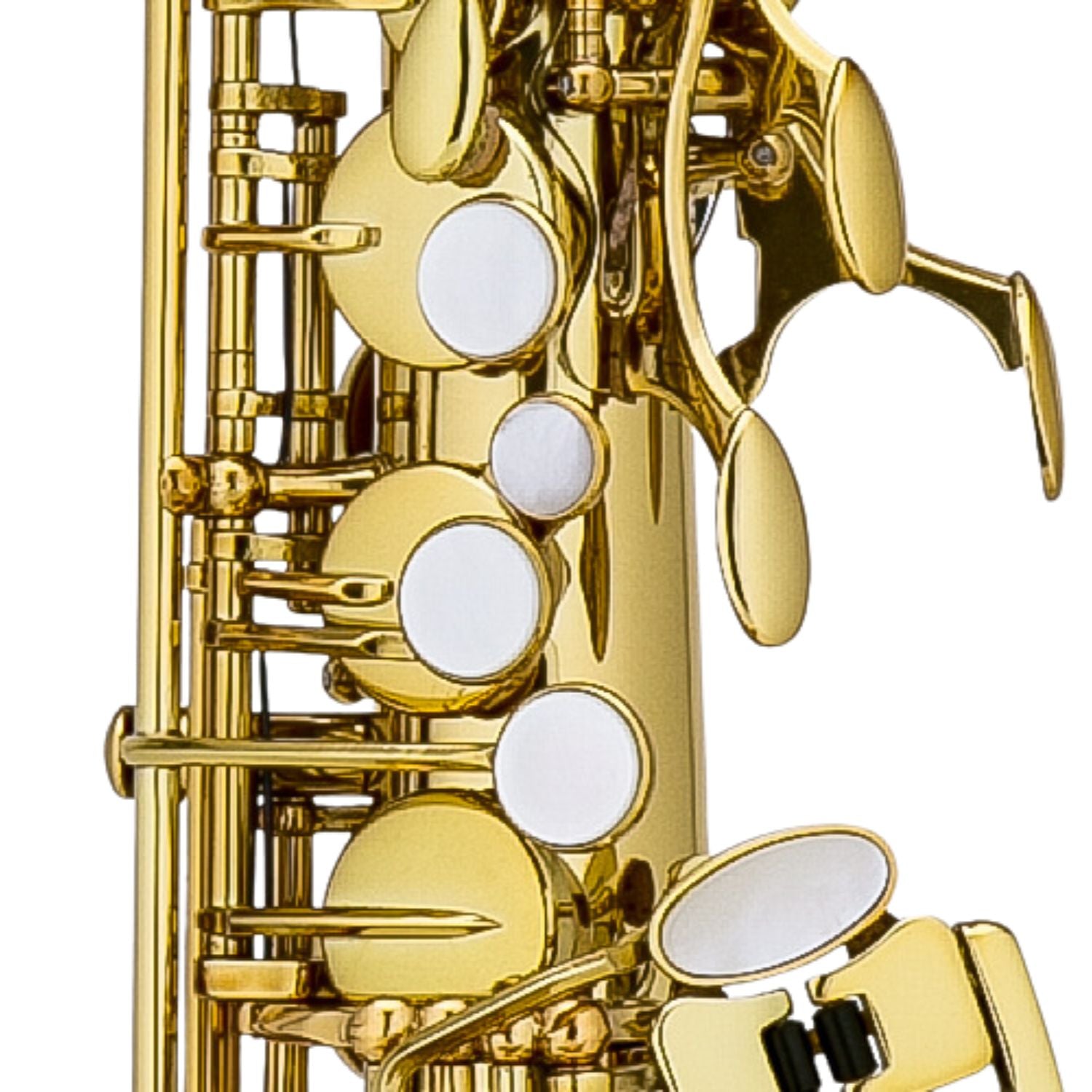 Chateau Saxophones Chateau Valencay Series CAS-22 Alto Saxophone