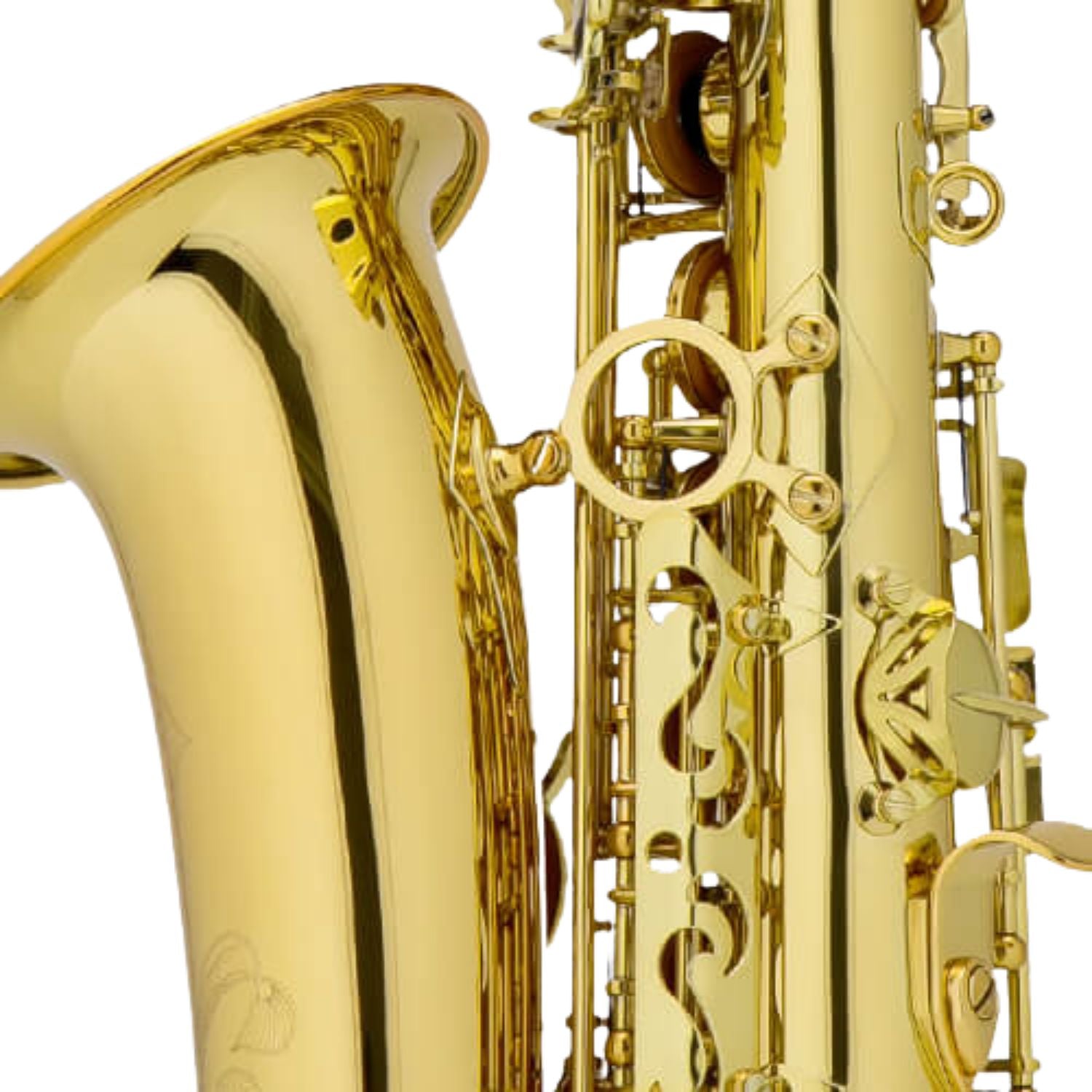Chateau Saxophones Chateau Valencay Series CAS-22 Alto Saxophone