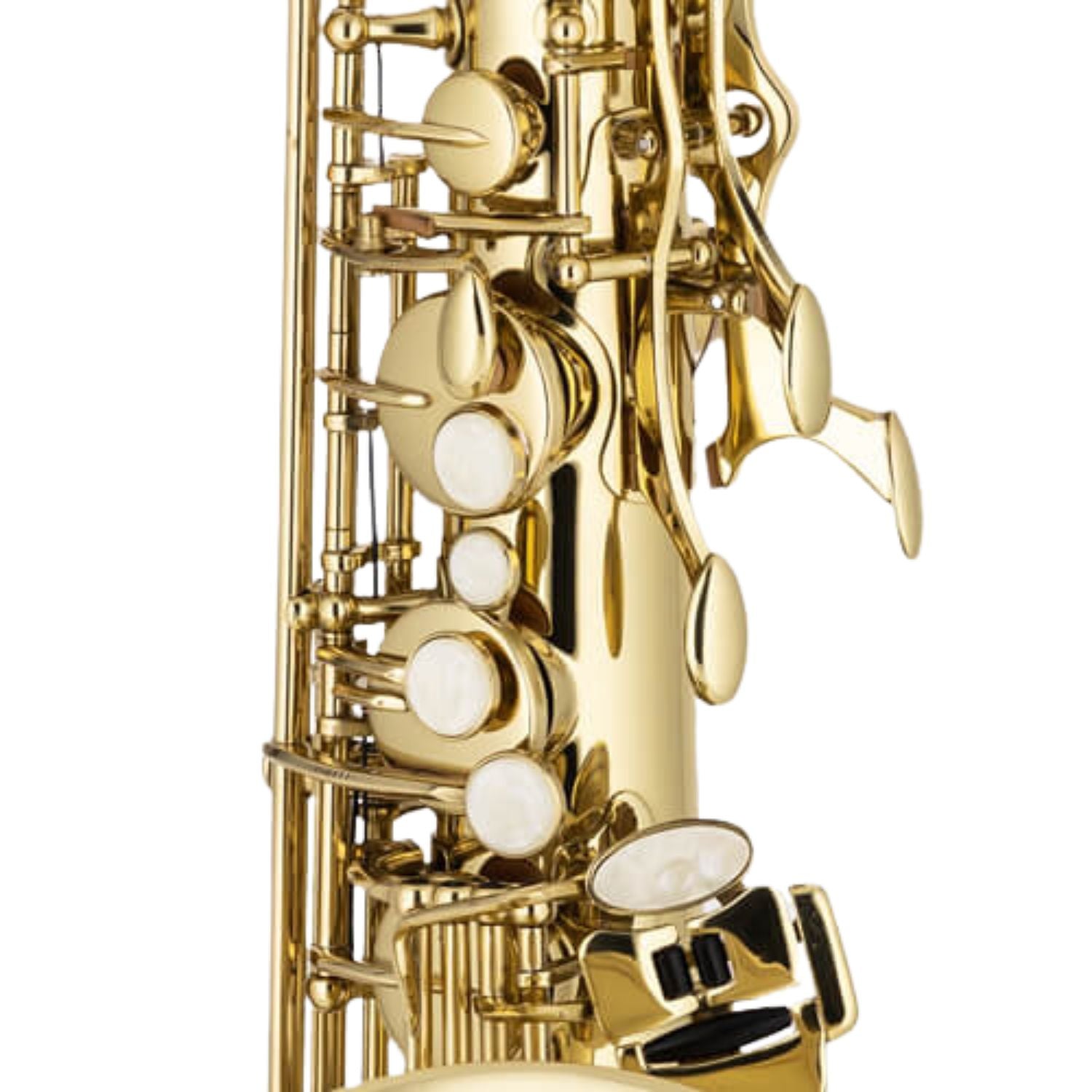 Chateau Saxophones Lacquer Chateau Cheverny Series CTS-21L Tenor Saxophone