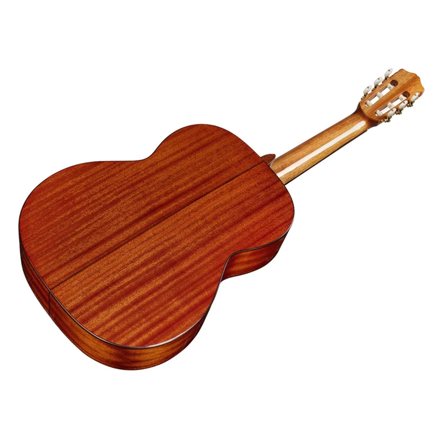 Cordoba Electro Acoustic Guitars Cordoba C5 CD 6 String Classical Electro Acoustic Guitar