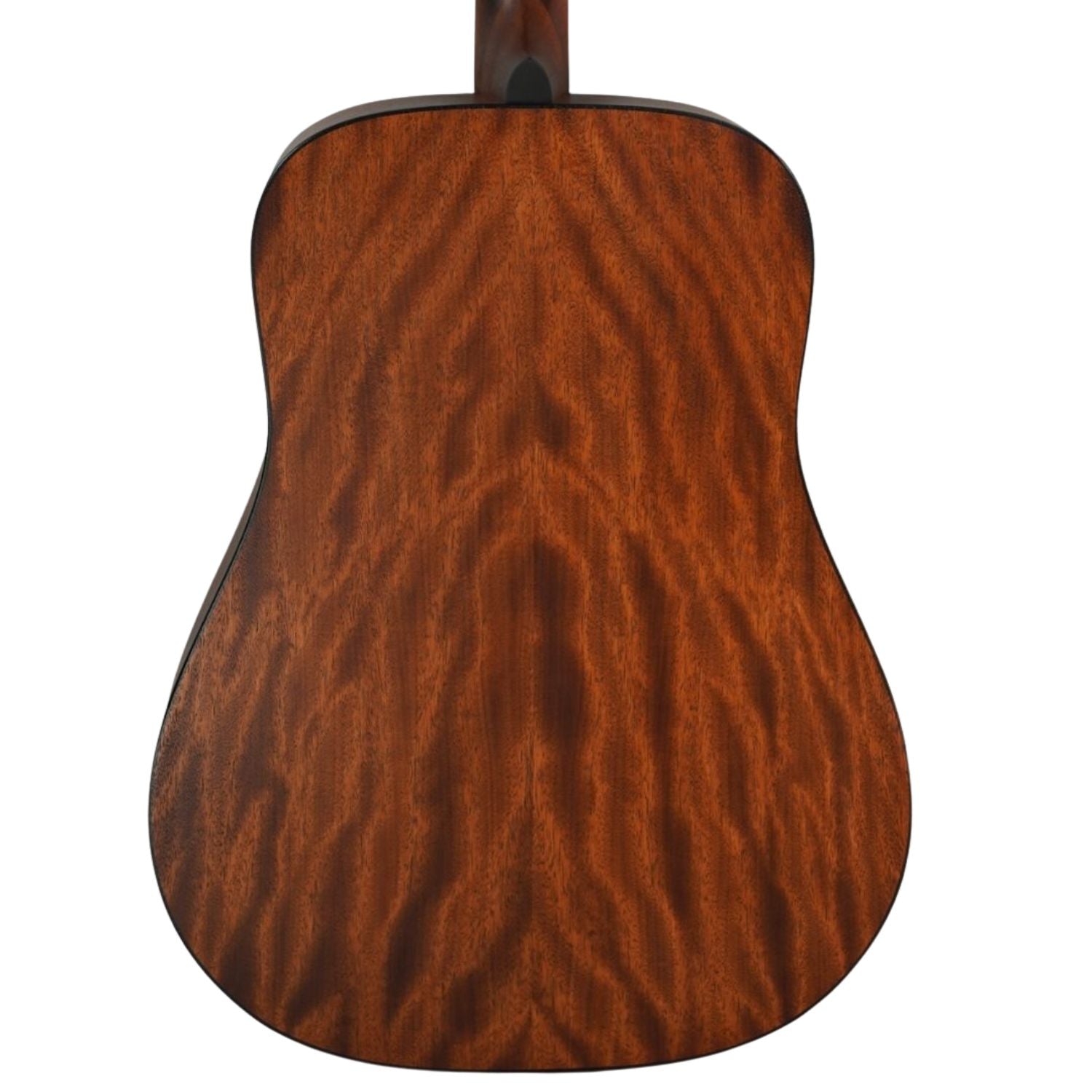 Cort Acoustic Guitars Cort AD300 6 String Acoustic Guitar 
