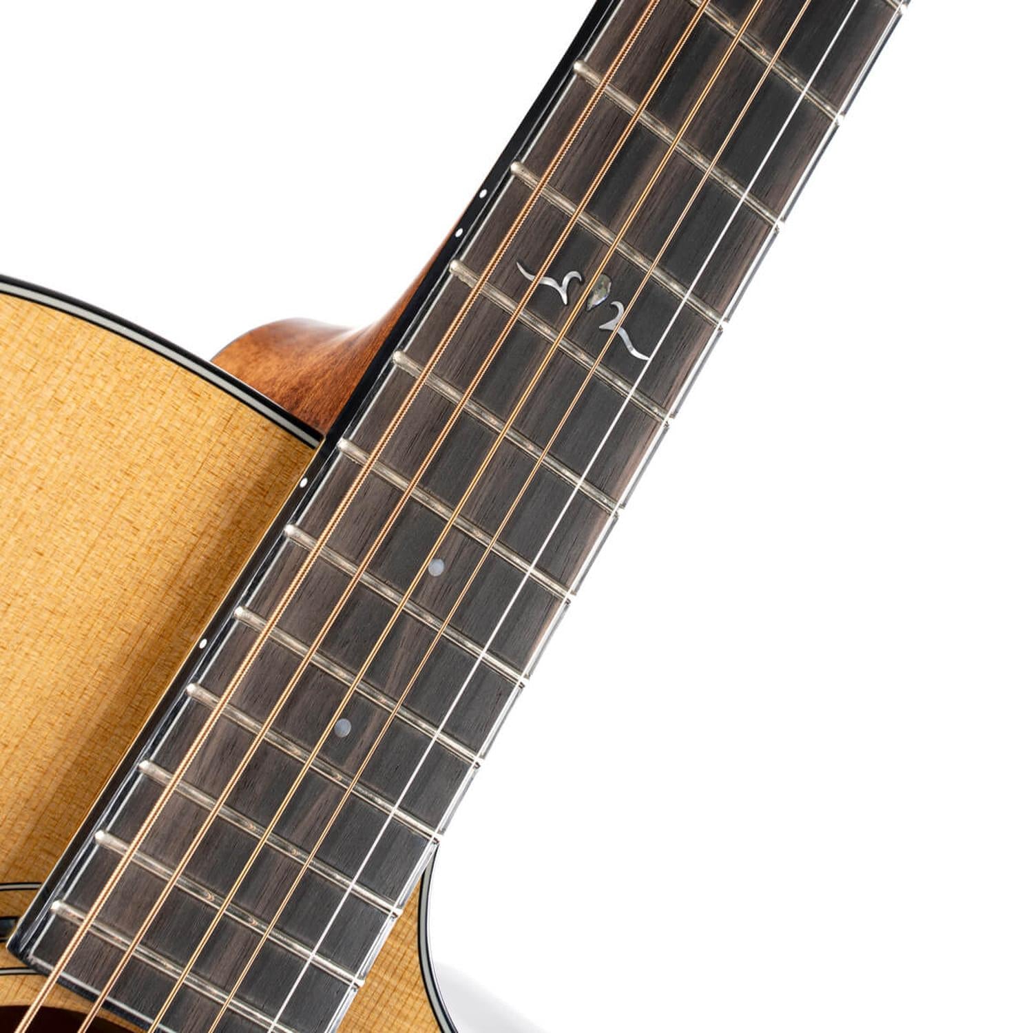 Cort Electro Acoustic Guitars Cort GOLD-A6 Electro Acoustic Guitar with Case