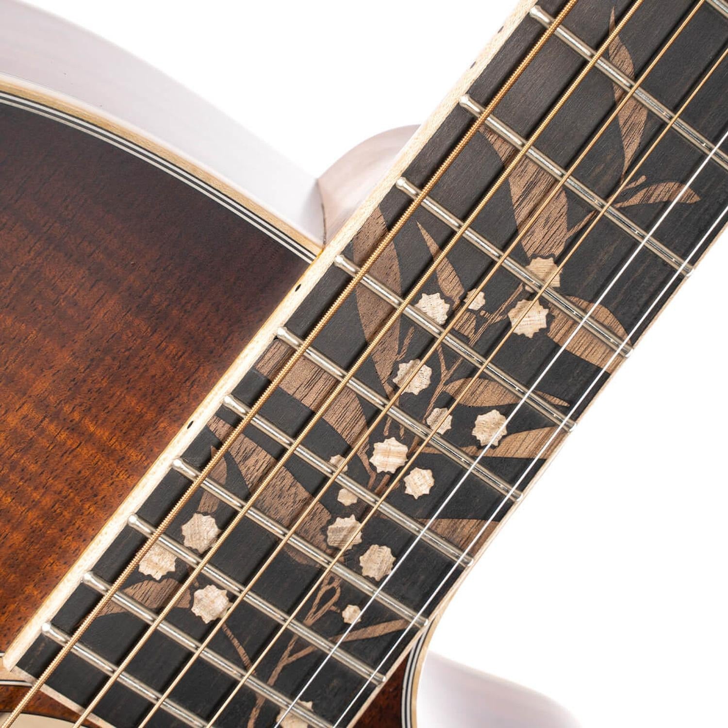 Cort Electro Acoustic Guitars Light Burst Satin Cort The Black Tree Limited Edition Electro Acoustic Guitar