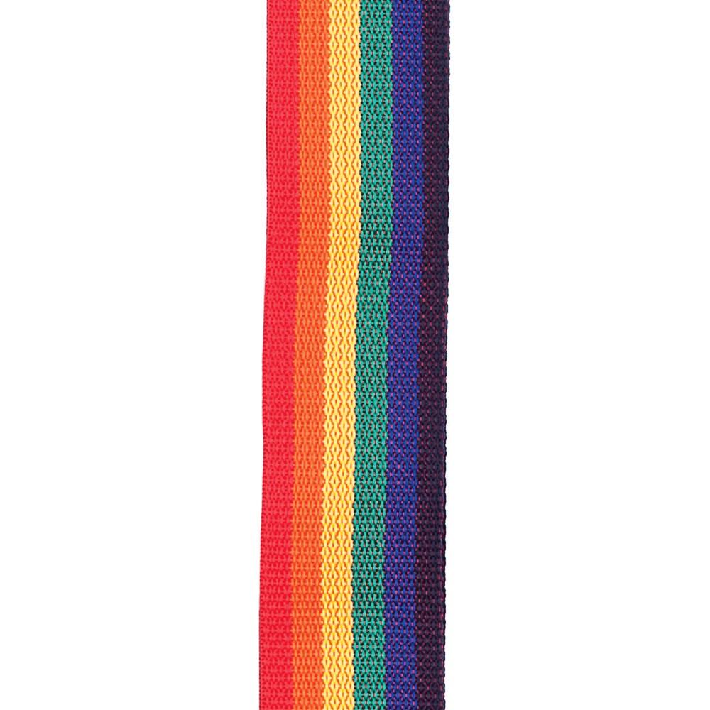daddario guitar straps d'addario 50mm polypropylene guitar strap      #color_rainbow