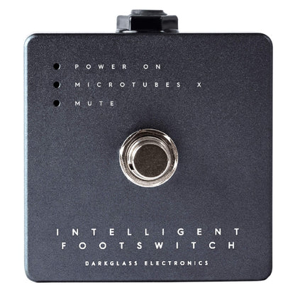 Darkglass Electronics Bass Amplifier Heads Darkglass Electronics Microtubes X900 Bass Amplifier Head