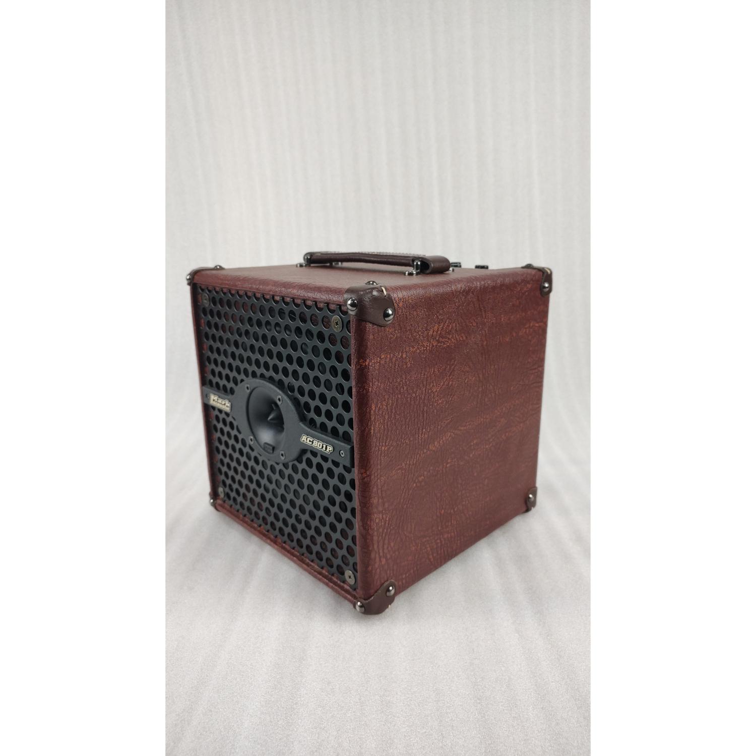 DV Mark Acoustic Guitar Amplifiers DV Mark 801P Acoustic Guitar Amplifier - Open Box