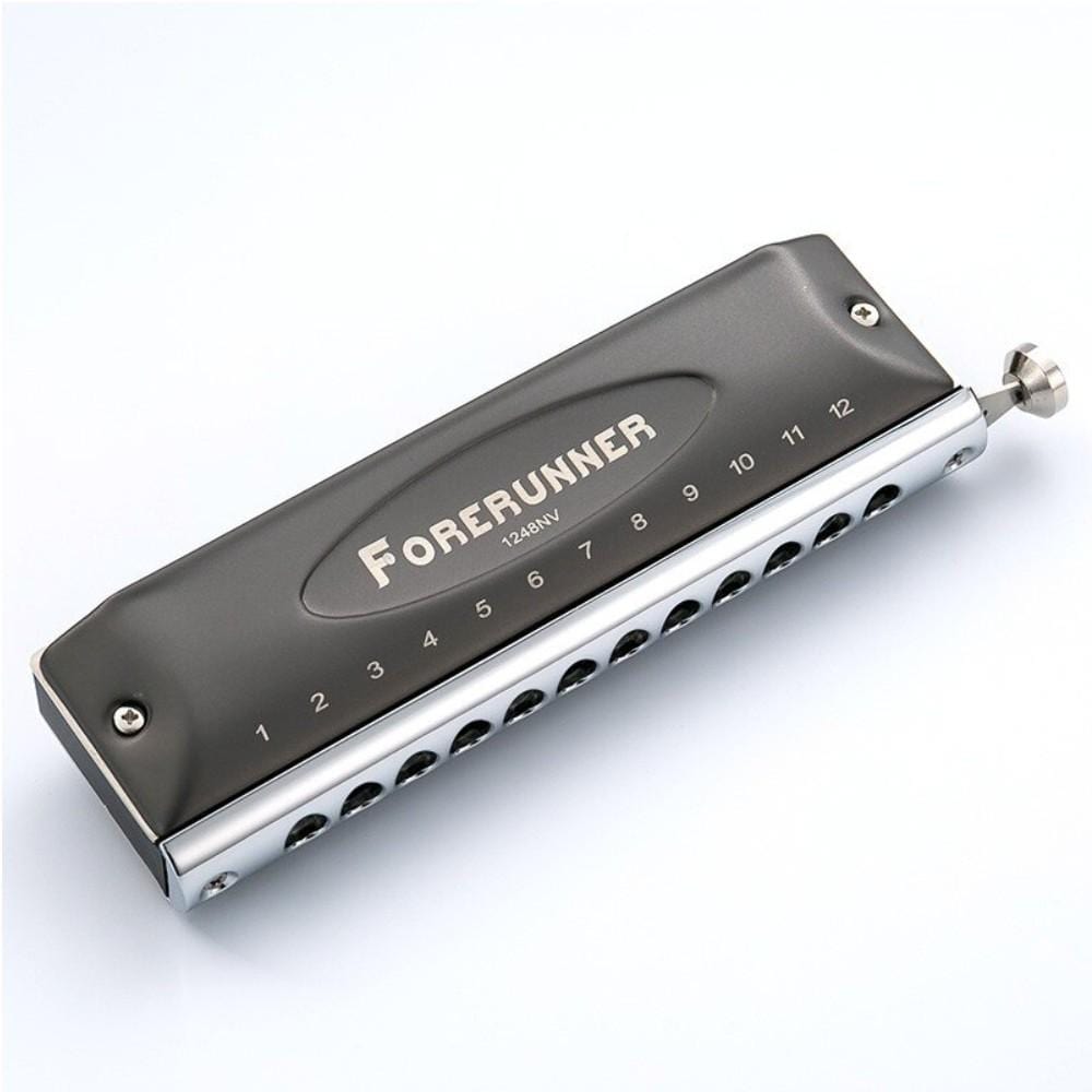 easttop harmonicas easttop forerunner key c 12 holes chromatic harmonica