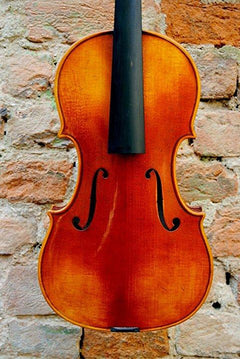 Edgar Russ Violins Edgar Russ Linea Mauro Macchi Violin Str.