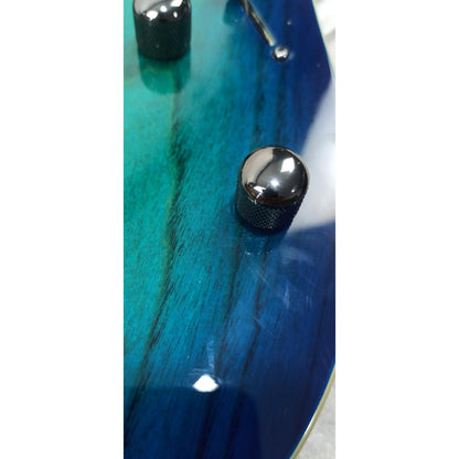 electric-guitars Electric Guitars Ibanez RG Standard Series RG421AHM Electric Guitar - Blue Moon Burst - Open Box