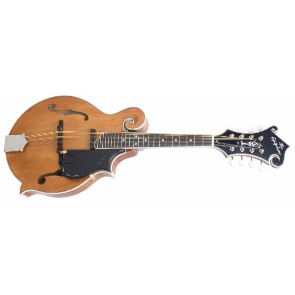 epiphone mandolins epiphone mm-50e professional electric inchf-styleinch mandolin