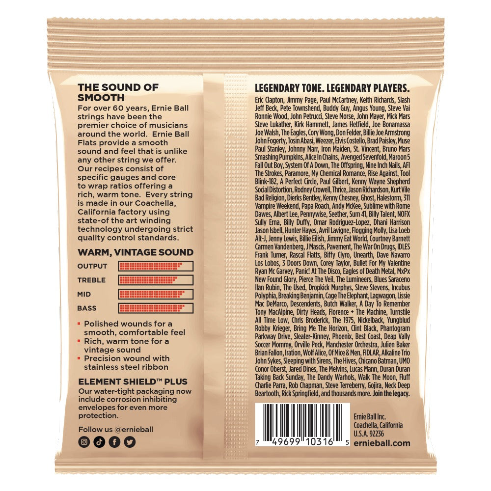 Ernie Ball Electric Guitar Strings Ernie Ball 2580 Light Flatwound Electric Guitar Strings - 11-50