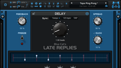 Blue Cat Late Replies Delay Effect