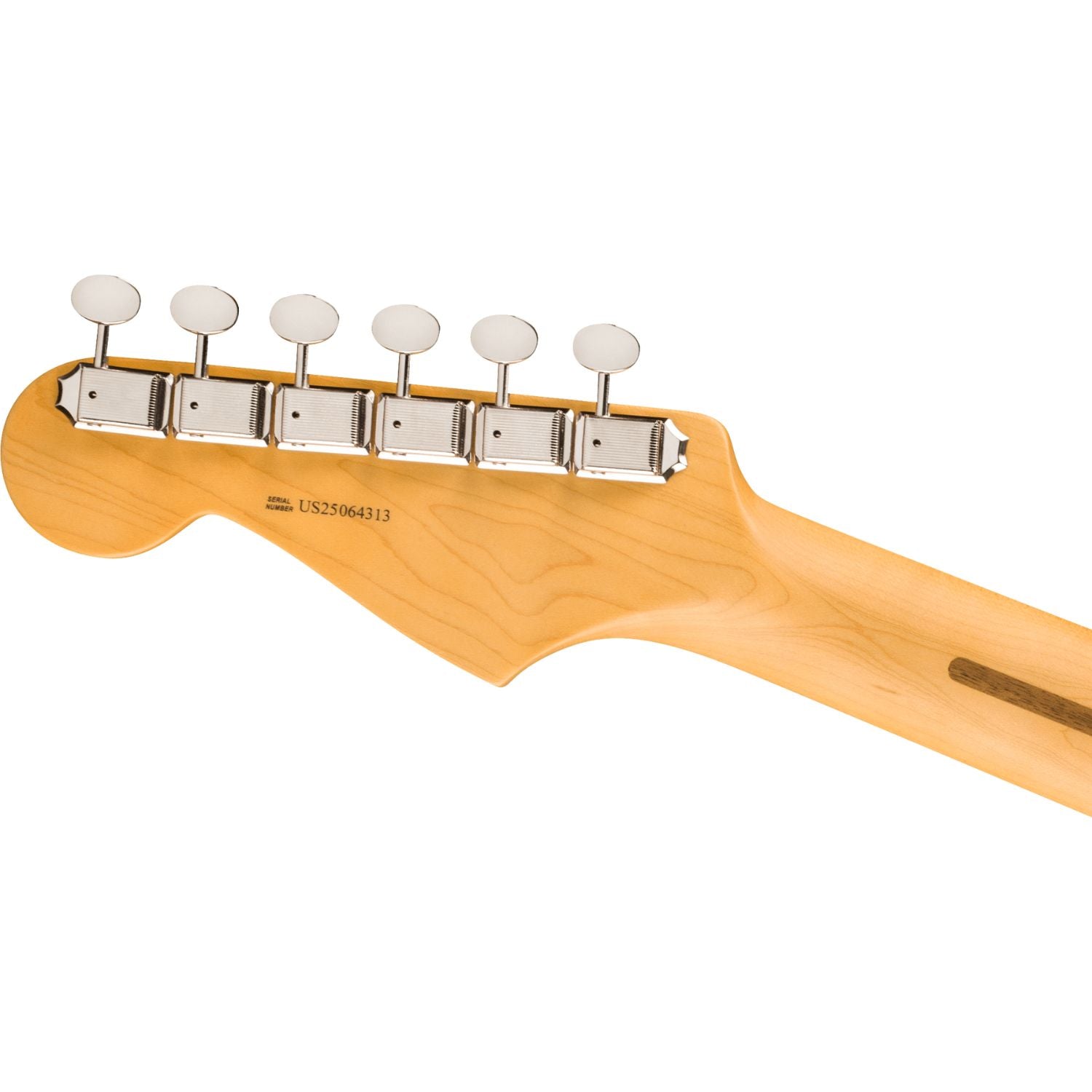 Fender Electric Guitars Fender American Professional Classic Stratocaster 6 String Electric Guitar