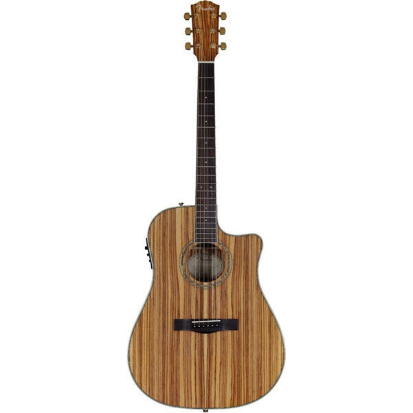 Fender Electro Acoustic Guitars Fender CD-220CE All Zebrano Dreadnought Acoustic-Electric Guitar