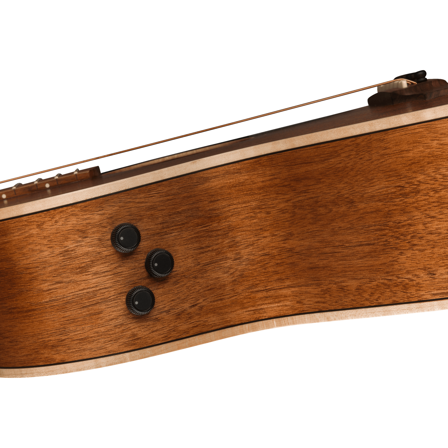 Fender Electro Acoustic Guitars Fender Newporter Special Acoustic Guitar