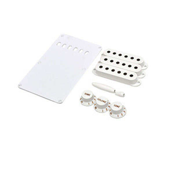 Fender Guitar Accessories Fender Accessory Kit (White)
