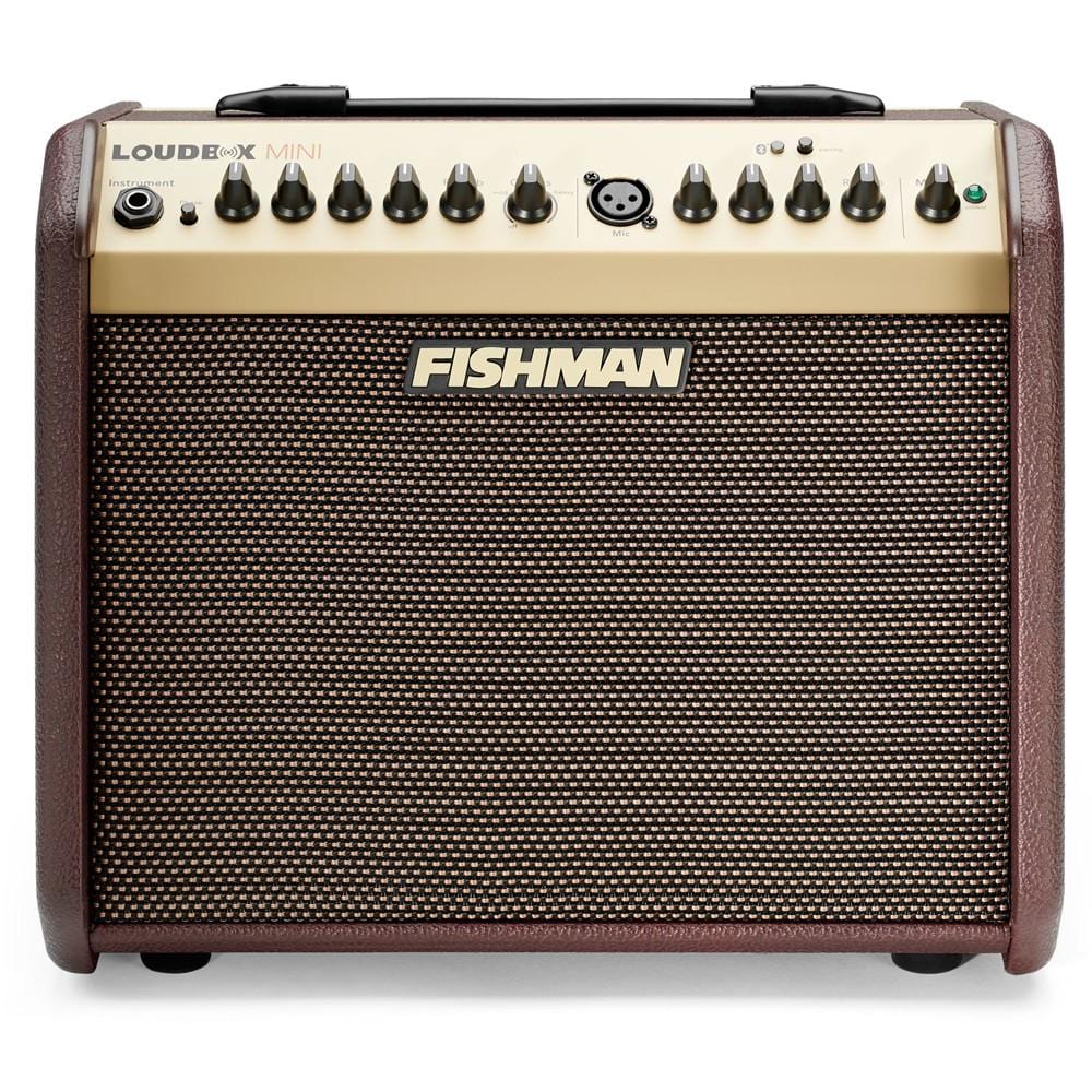 Fishman Acoustic Guitar Amplifiers Fishman PRO LBT UK5 Mini LoudBox Acoustic Guitar Amplifier with Bluetooth