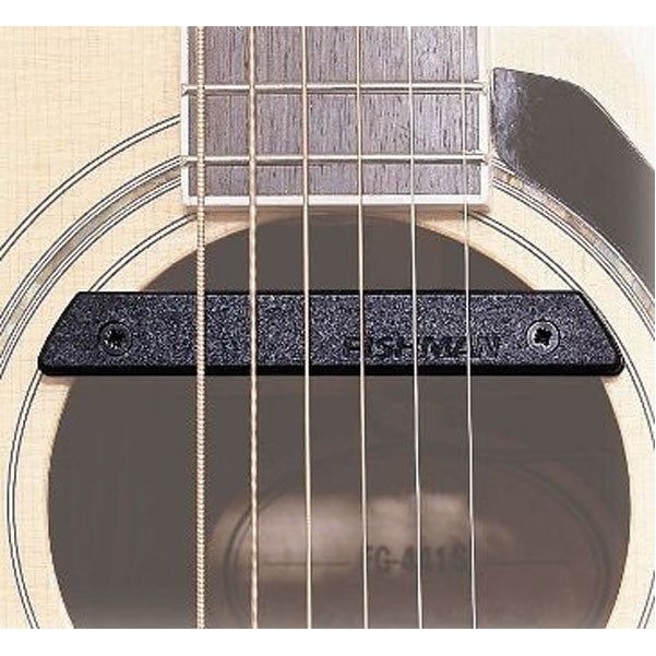 fishman pickups fishman rare earth pro-rep-102 humbucking soundhole pickup