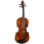 Franz Sandner Violins Franz Sandner 601 Violinset 3/4