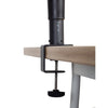 Gator Gator GFWSPKSTMNDSKCMP Speaker Stand