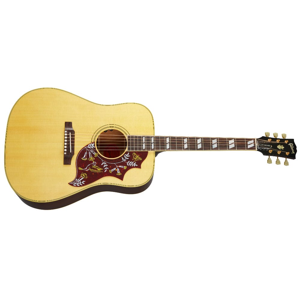 Hummingbird guitar price discount