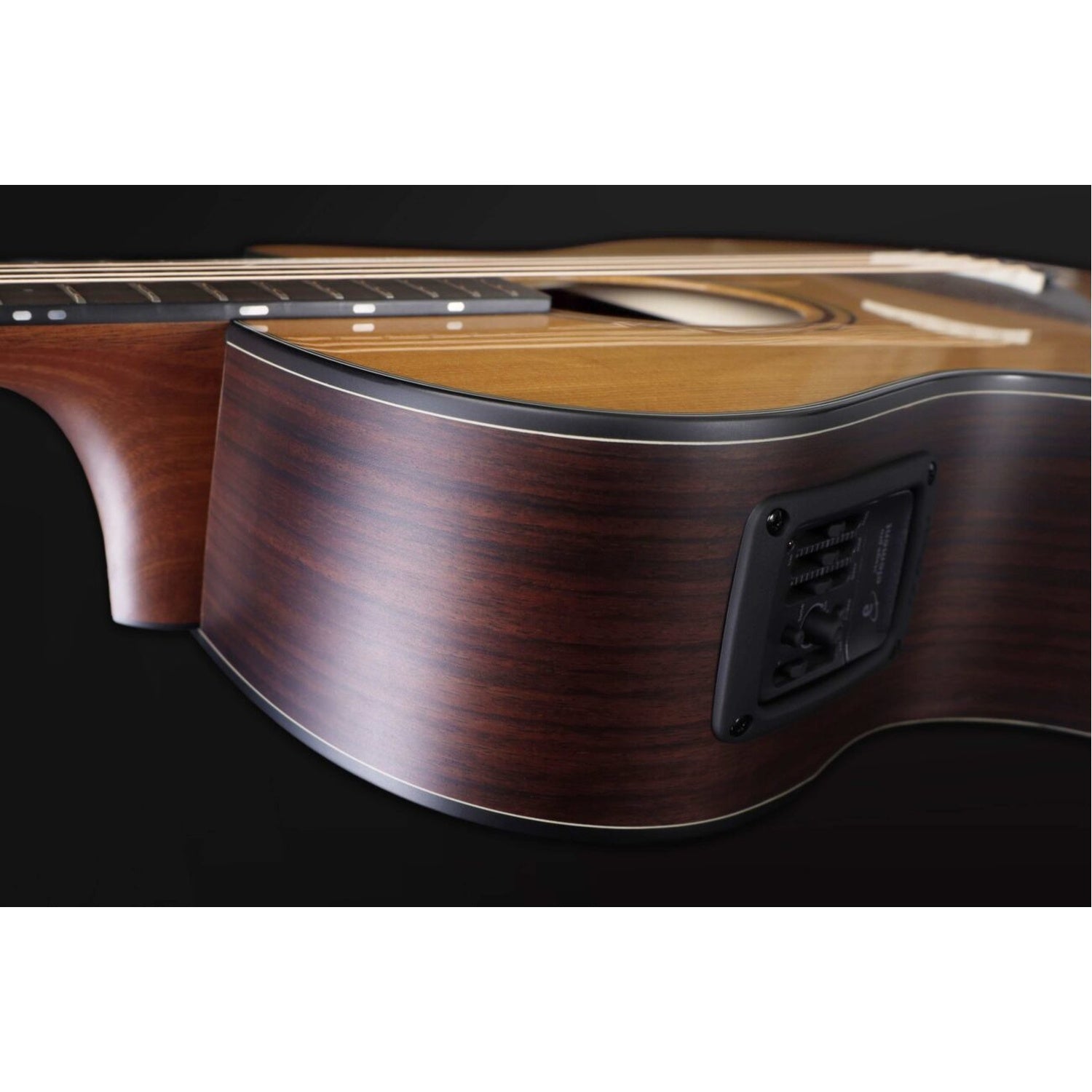 Furch Green Gc-TR a 6 String Electro Acoustic Guitar