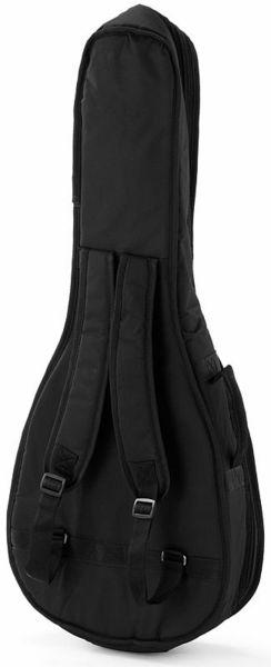 harley benton acoustic guitars harley benton blues guitar set 1