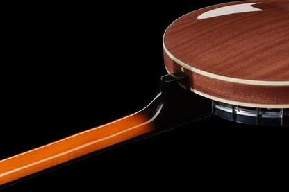 harley benton banjos harley benton bj-65pro 6 string banjo