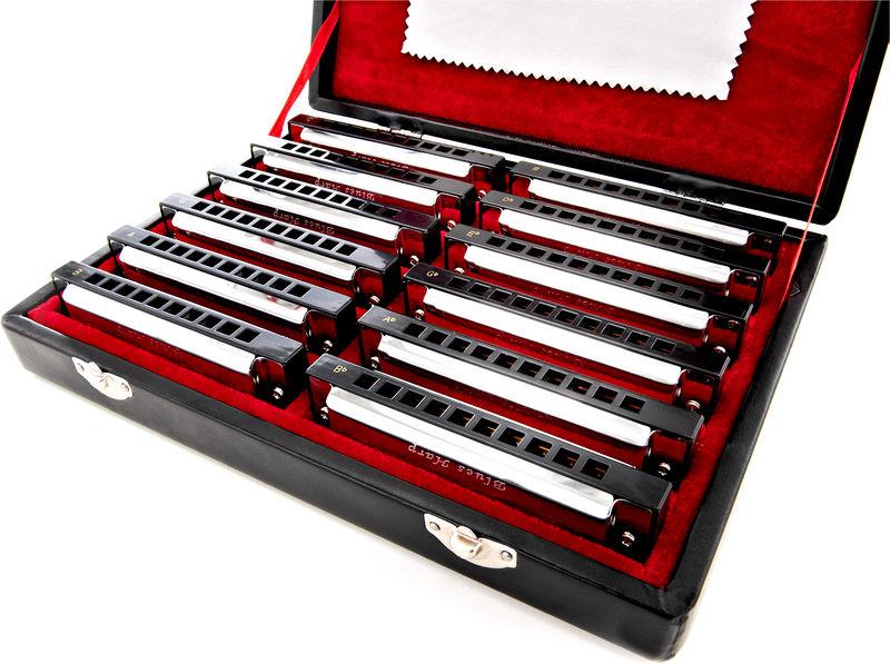 Harley benton blues harp set new arrivals