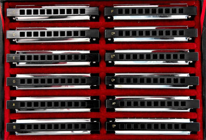 Harley Benton Harmonicas Harley Benton Blues Harmonica Set