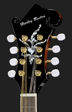 Harley Benton Mandolins Harley Benton HBMA-100 VS
