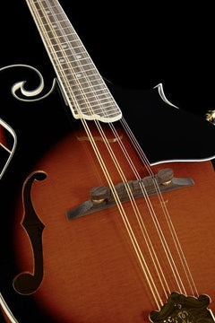 Harley Benton Mandolins Harley Benton HBMA-100 VS