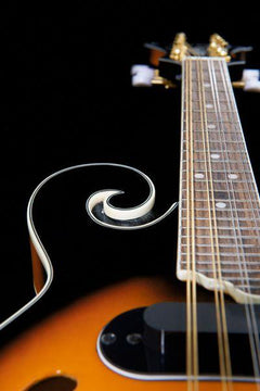Harley Benton Mandolins Harley Benton HBMA-100E- VS