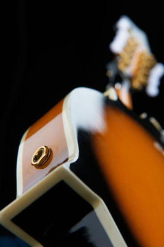 Harley Benton Mandolins Harley Benton HBMA-100E- VS