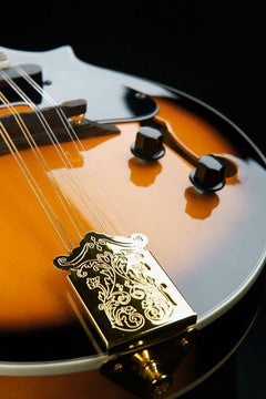 Harley Benton Mandolins Harley Benton HBMA-100E- VS