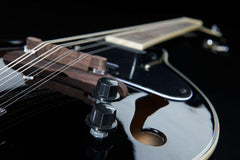 Harley Benton Mandolins Harley Benton HBMA-50E Mandolin BK