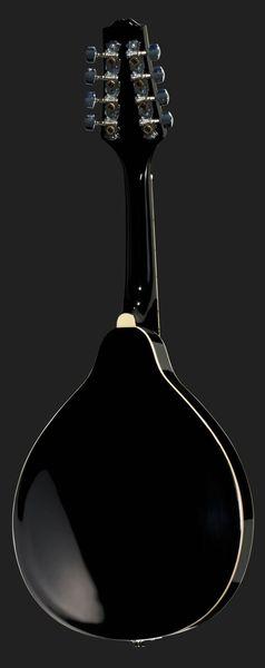 Harley Benton Mandolins Harley Benton HBMA-50E Mandolin VS