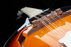 Harley Benton Mandolins Harley Benton HBMA-50E Mandolin VS