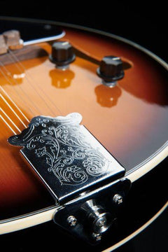 Harley Benton Mandolins Harley Benton HBMA-50E Mandolin VS