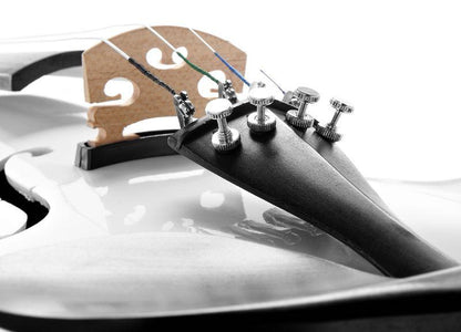 harley benton violins harley benton hbv 800vw violin 4/4