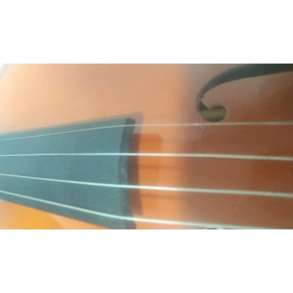 havana violins havana mv1412f violin with ebony pegs - open box b stock #barcode_202401082097