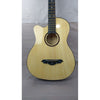 Henrix Acoustic Guitars Henrix 38C Cutaway Acoustic Guitar with Dual Action Truss Rod, Gigbag, Picks, String Set, Strap, Cloth & Ebook - Open Box B Stock