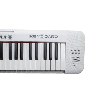 Henrix Portable Keyboards Henrix KB-601 Portable 61 Full Size Keys Keyboard with Adapter and Microphone