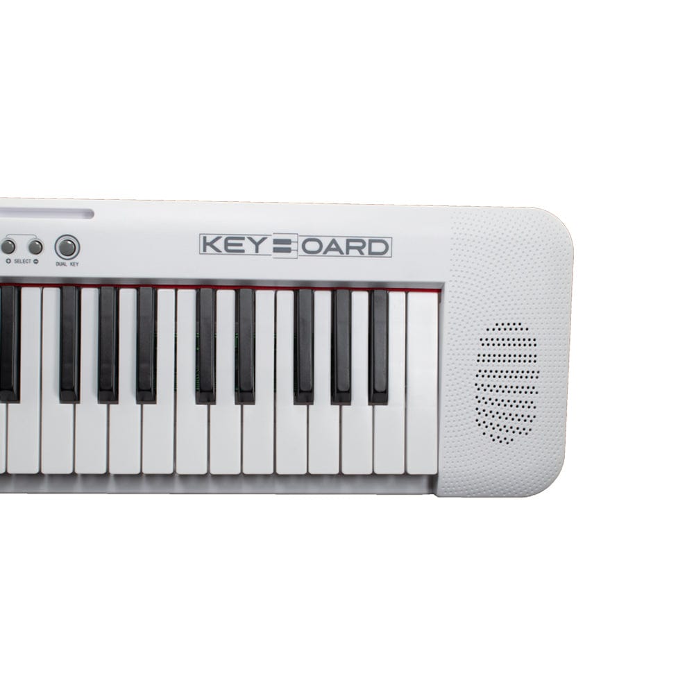 Henrix Portable Keyboards Henrix KB-601 Portable 61 Full Size Keys Keyboard with Adapter and Microphone